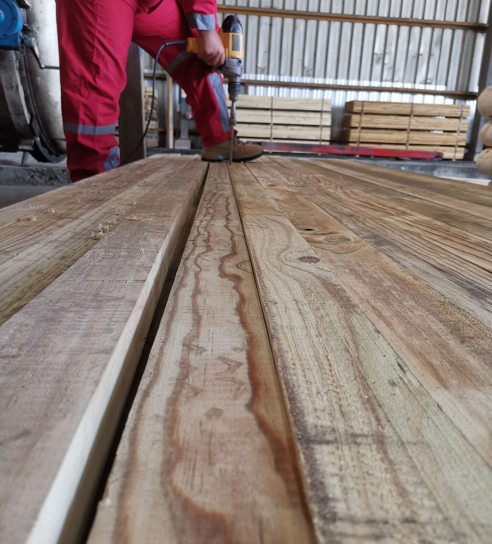 MADERA9