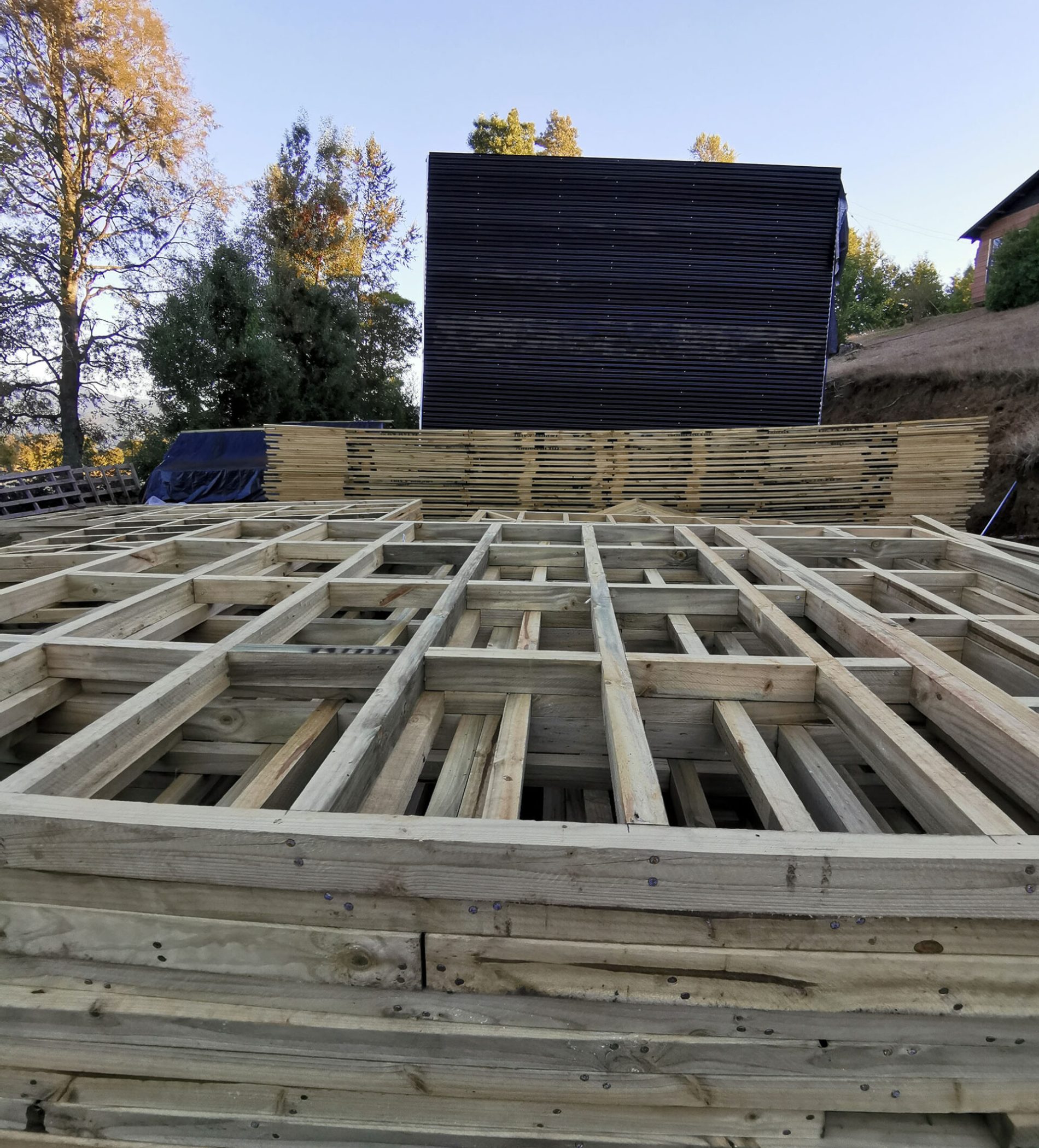 madera8